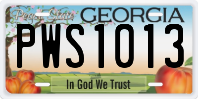 GA license plate PWS1013