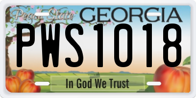 GA license plate PWS1018