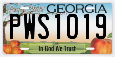 GA license plate PWS1019
