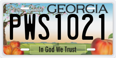 GA license plate PWS1021