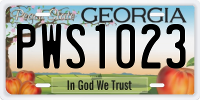 GA license plate PWS1023