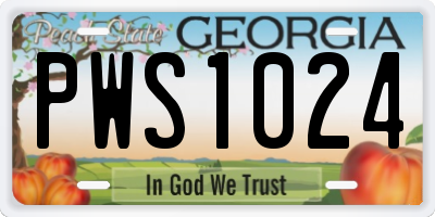 GA license plate PWS1024