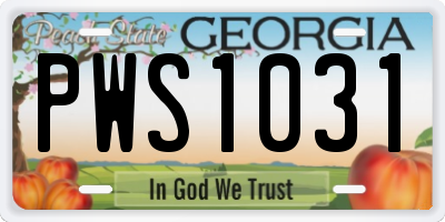 GA license plate PWS1031