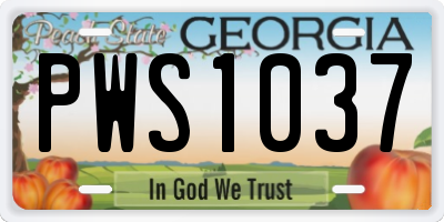 GA license plate PWS1037