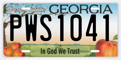 GA license plate PWS1041