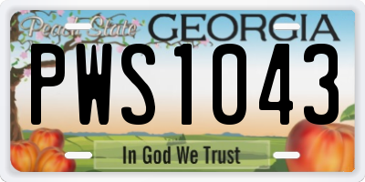 GA license plate PWS1043
