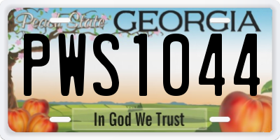 GA license plate PWS1044