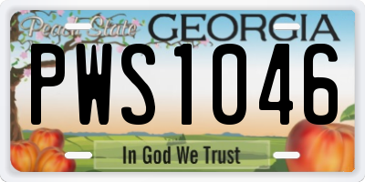 GA license plate PWS1046