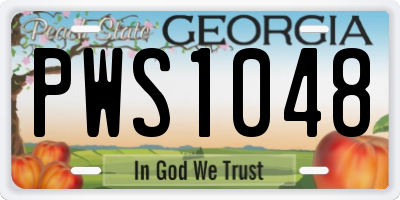 GA license plate PWS1048
