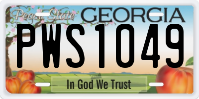 GA license plate PWS1049