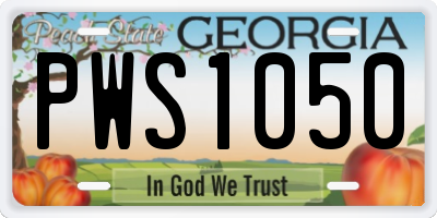 GA license plate PWS1050