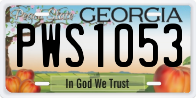 GA license plate PWS1053