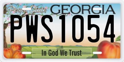 GA license plate PWS1054