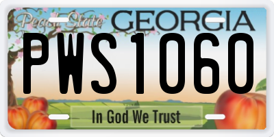 GA license plate PWS1060