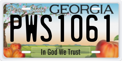 GA license plate PWS1061