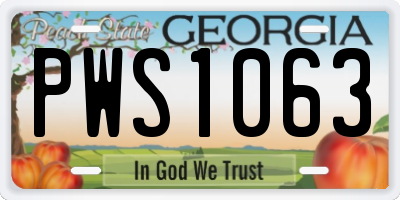GA license plate PWS1063