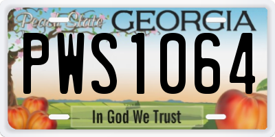 GA license plate PWS1064