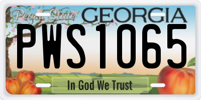 GA license plate PWS1065
