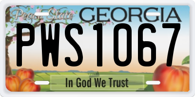 GA license plate PWS1067