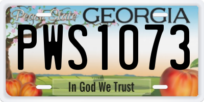 GA license plate PWS1073