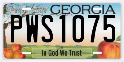 GA license plate PWS1075