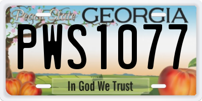 GA license plate PWS1077