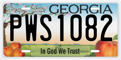 GA license plate PWS1082