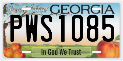 GA license plate PWS1085