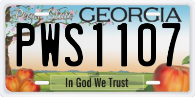 GA license plate PWS1107