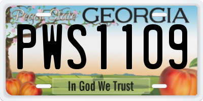 GA license plate PWS1109