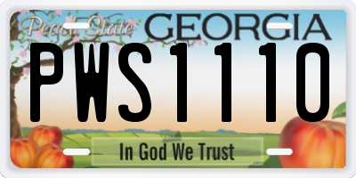 GA license plate PWS1110