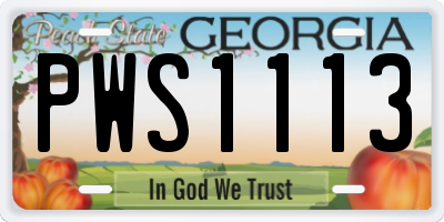 GA license plate PWS1113