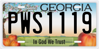 GA license plate PWS1119