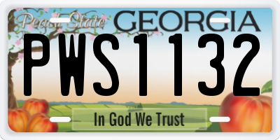 GA license plate PWS1132