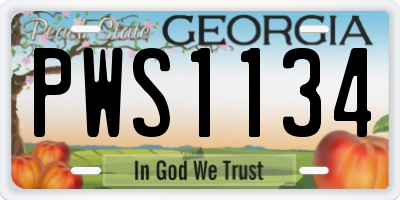 GA license plate PWS1134
