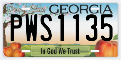 GA license plate PWS1135