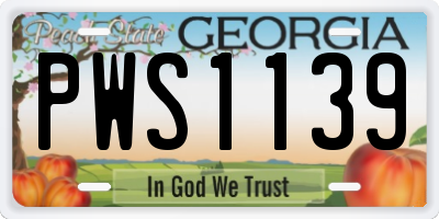 GA license plate PWS1139