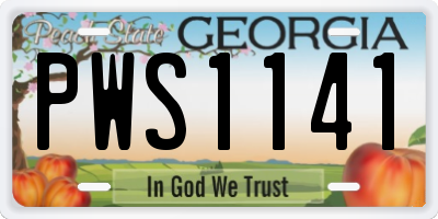 GA license plate PWS1141