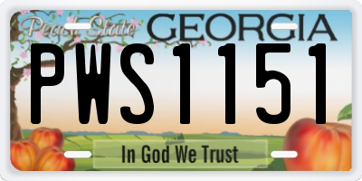 GA license plate PWS1151