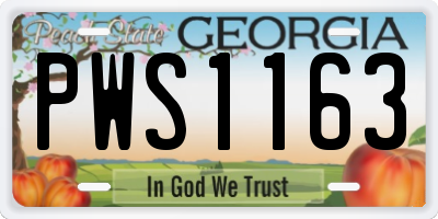 GA license plate PWS1163