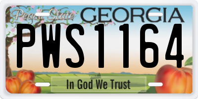 GA license plate PWS1164