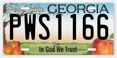 GA license plate PWS1166