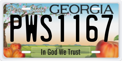 GA license plate PWS1167