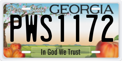 GA license plate PWS1172