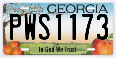 GA license plate PWS1173