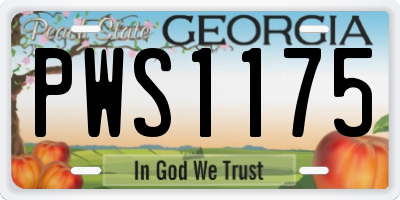 GA license plate PWS1175