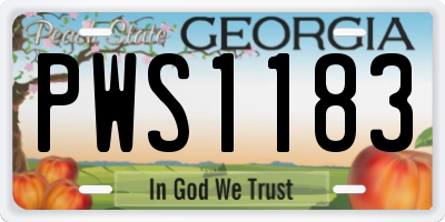 GA license plate PWS1183