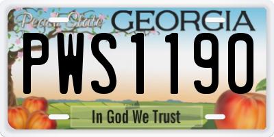 GA license plate PWS1190