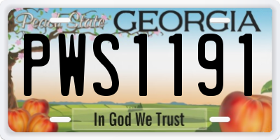 GA license plate PWS1191