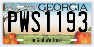 GA license plate PWS1193